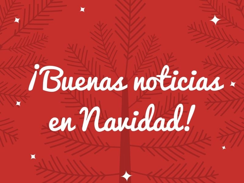 Un regalo de Navidad muy especial: recibió un doble trasplante que esperaba hace años - Hospital Privado Cordoba