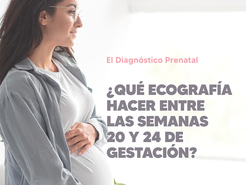 Ecografía Morfológica Fetal: ¿qué es, cuándo y por qué hacerla? - Hospital Privado Cordoba