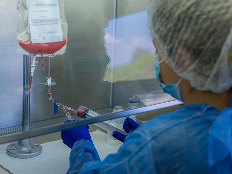 Médula ósea: nuestro Programa de Trasplante con estándar mundial ISBT 128 - Hospital Privado Cordoba