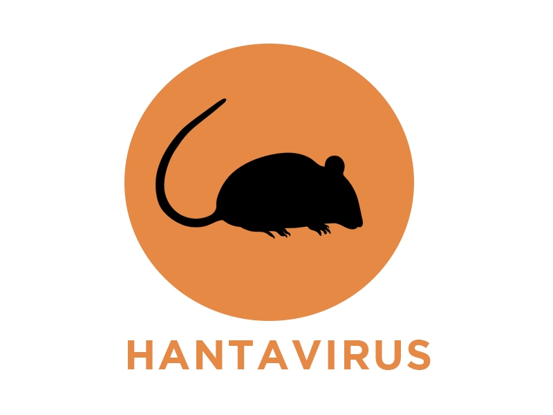 Hantavirus: ¿qué es importante saber? - Hospital Privado Cordoba