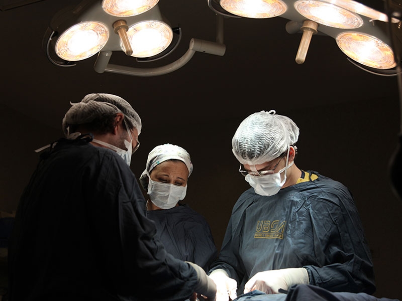 Trasplantes de órganos y tejidos: su importancia en todo contexto - Hospital Privado Cordoba