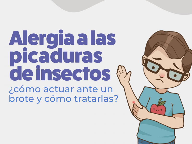 Alergia a las picaduras de insectos: ¿cómo actuar ante un brote y cómo tratarlas?  - Hospital Privado Cordoba