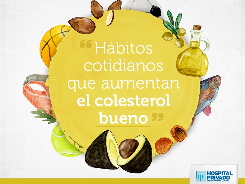 ¿Cómo aumentar el colesterol bueno? - Hospital Privado Cordoba