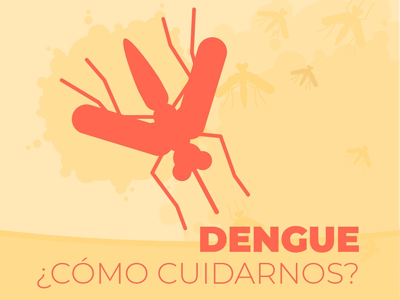 ¿Cómo debemos cuidarnos del dengue? - Hospital Privado Cordoba
