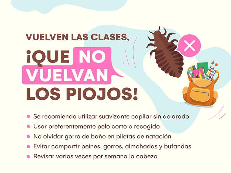 ¡Que los piojos no vuelvan a clases! - Hospital Privado Cordoba